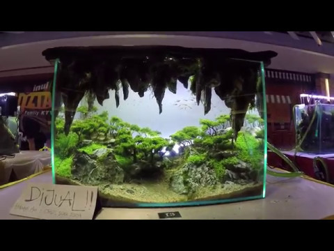 Aquascape Contest - A'Combat Tank 600