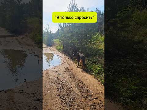 Спрашивает сделать грязное дело😄