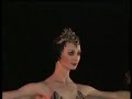Swan Lake Black Swan Moscow Classical Ballet 1988
