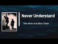 The Jesus & Mary Chain - Never Understand (Lyrics)
