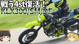 「政治家の方、バイク車検・排気量の区分を変えてください」めちゃくちゃになり始めたラインアップ【ゆっくり解説】
