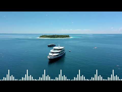 Maxx - Ursache - Irma - Baila (Bass)