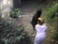 AFV Cats Music Video