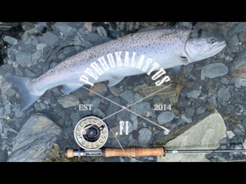 Meritaimenen Rannikkokalastusta