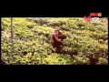 MaaMusic Killer Story Malle Mogga