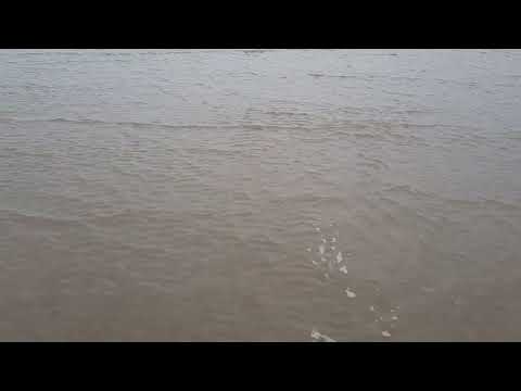 chandani beach odisha baleswar near railway Station balasore