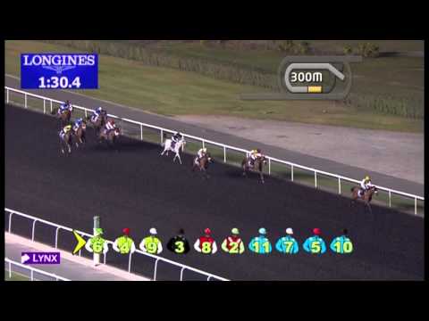10.01.2013 Meydan (Dubai-UAE) 1.Race Al Maktoum Challenge 2013 - Group I 1.600 m