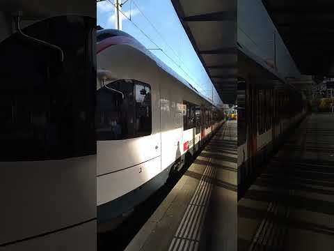 Basel SBB s3 16:37 8.3.2024