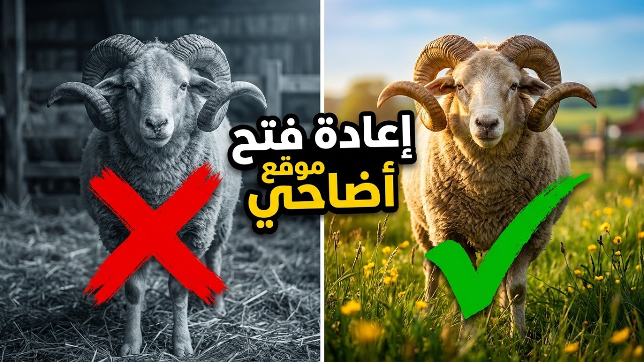 #عاجل اعادة فتح موقع اضاحي اليوم الاثنين 2026/05/25 #adhahi _dz #موقع_اضاحي #العيد_الاضح
