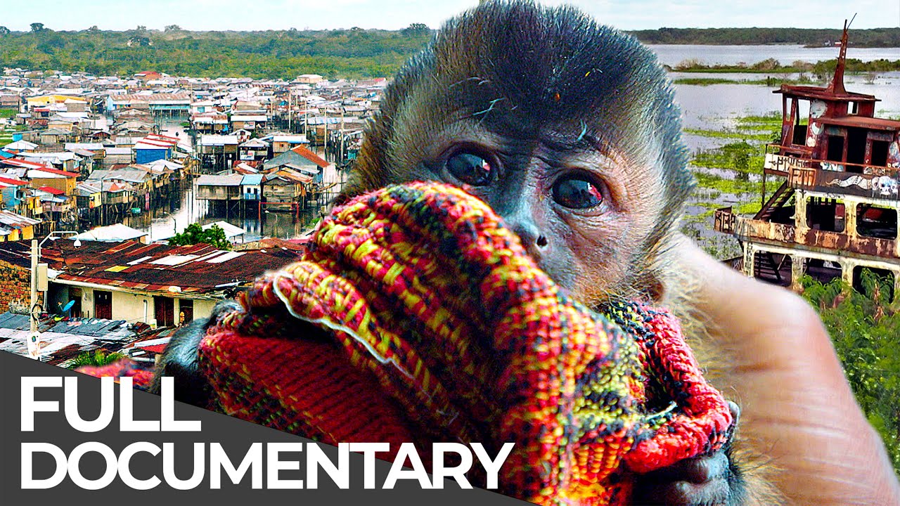 Peru's Animal Smugglers and Venezuela's Drug Crisis
