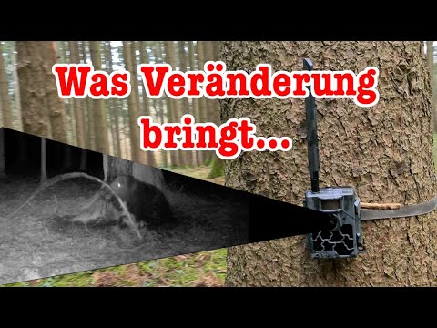 Veränderungen im Revier | Keileralarm | Secacam 5000 Explorer