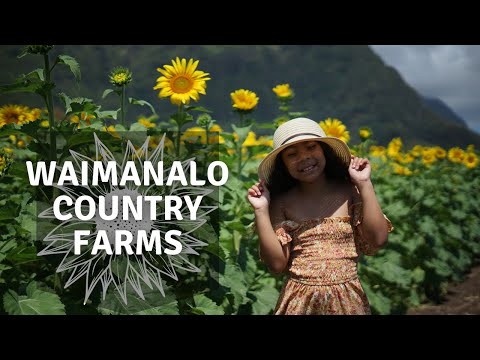 Things to do in Hawaii - Waimanalo Country Farms & Boots & Kimos