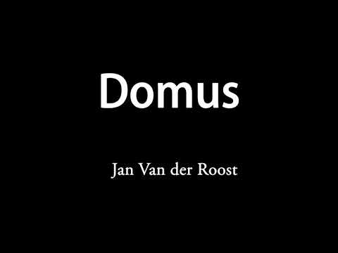 Domus - Jan Van der Roost