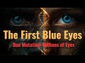 Blue Eyes Are Only 10,000 Years Old. Here's How It Started
