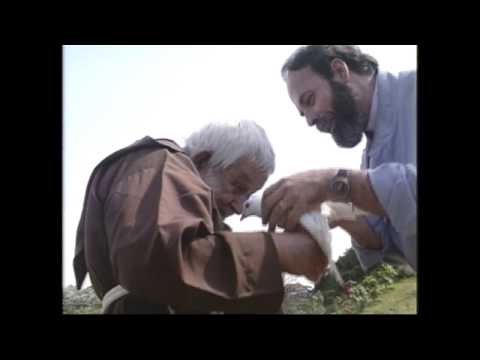 Anunciamos Jesus Especial 30 anos - Conteúdo