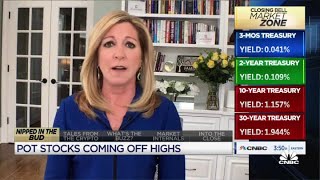 Cannabis stock surge is a 'Reddit re-do': Stephanie Link