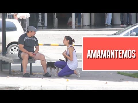 ¿Tú le diste teta a tu perro?