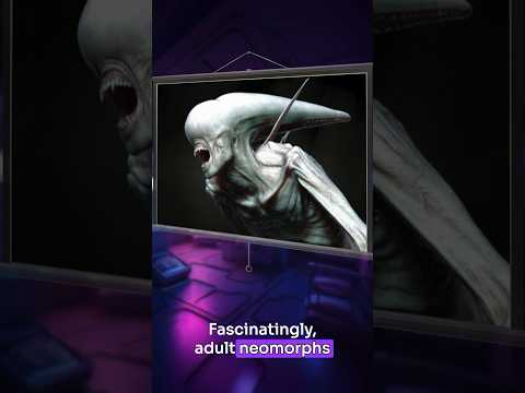 The Neomorph Life Cycle Explained #alien #xenomorph #aliens #speculativebiology