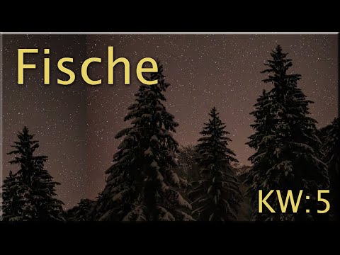♓ Fische - KW 5 ♓  - Tarot Wochenausblick  -