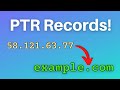 How To Add A PTR Record To A DigitalOcean Droplet