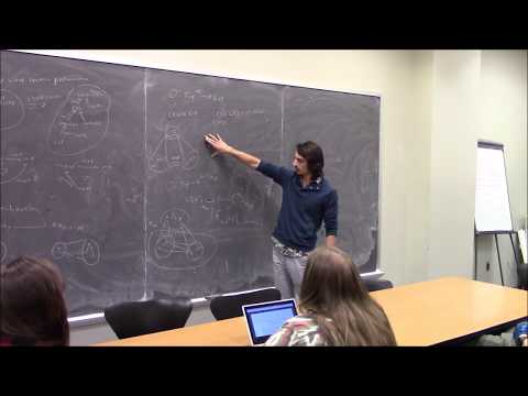 Noah Chrein --- Hierarchy and Anisotropy in Categorical Ontology.