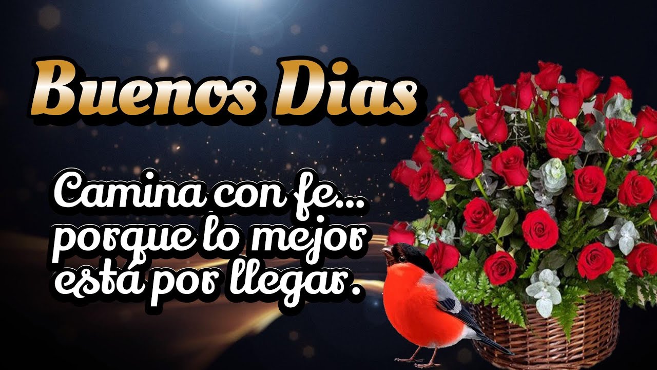 BUENOS DIAS🌹Mensaje de buenos días- Linda reflexión - MOTIVATIONAL VIDEO