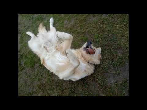 SMOOSSY -  BEGINNER Mix #6