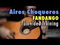 Aires Choqueros (Fandango) by Paco de Lucia - Full Training - See Description
