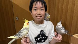 レオくんがおでかけしてみた！Moff animal cafe！ Part112 レオスマイル