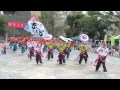 ぞっこん町田 98（2013深川よさこい祭り・深川公園会場・グランプリ）（固定カメラ）