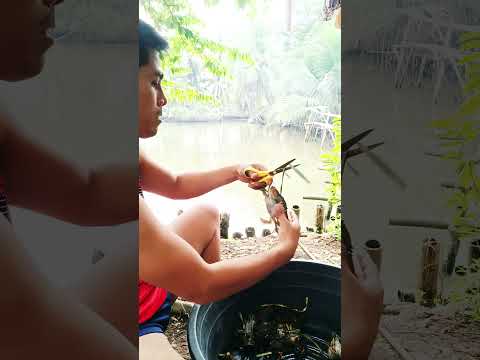 January 11, 2026 #subscriber #food #fishing #crab