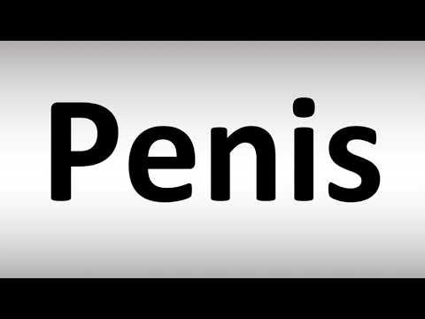 Sensul și tipurile de penis
