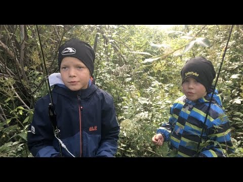 Kalakingit haettiin kalalle kesken koulupäivän - hauenkalastus - ahvenenkalastus - Eumer Fishing