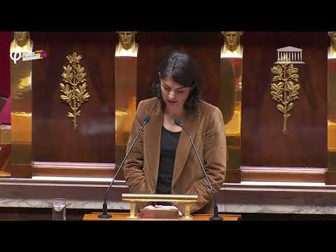 Les besoins de Mayotte sont légitimes ! - Aurélie Trouvé