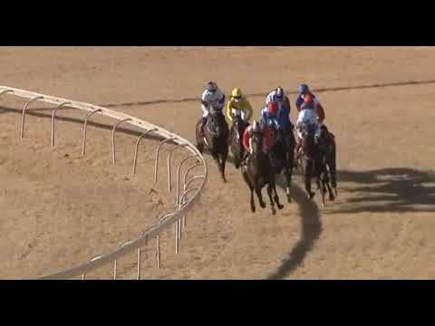 Hawwaam - World Sports Betting Premier`s Champions Challenge (Gr1)