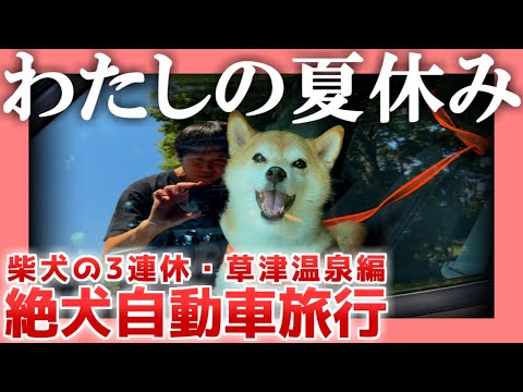 【柴犬の3連休】わたしの夏休み【草津温泉編】|  絶犬自動車旅行