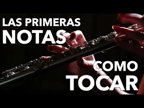 How to Play the First Notes on the Transverse Flute - Low Register or Bass Notes