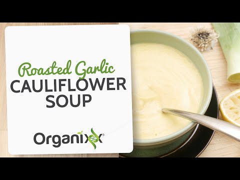 Roasted Garlic Cauliflower Soup | Organixx Recipe