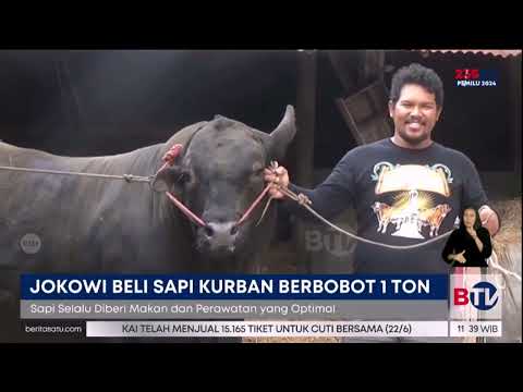 , title : 'Jokowi Beli Sapi Aberdeen Angus Berat 1 Ton'