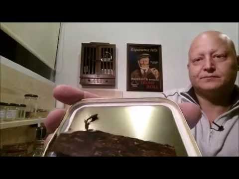 Pipe in Tobak: Novi tobaki v rotaciji in vlaganje