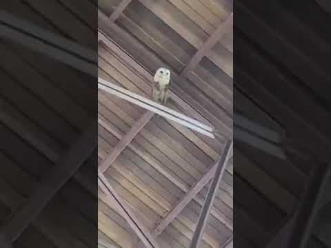 estamos de fiesta con jesus