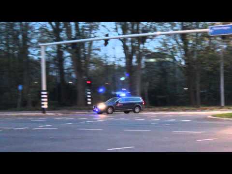 Prio 1 Hondenbrigade naar een onbekende melding