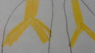 Liberty Jane Design Contest January 2011 Entry 3