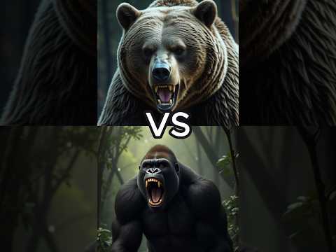 Gorilla VS Animals (tiger, lion, elephant)