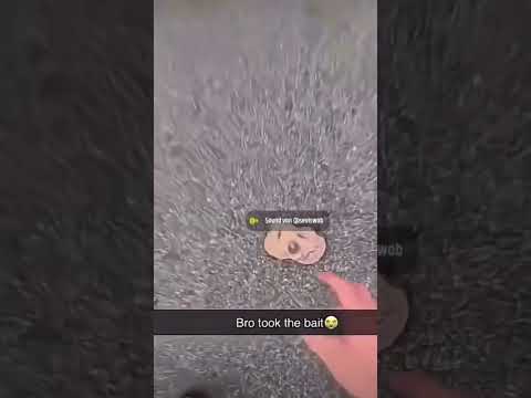 Don’t bend over for the cookie monster 😭 #cookie #monster #bendover #creepynuts #funny