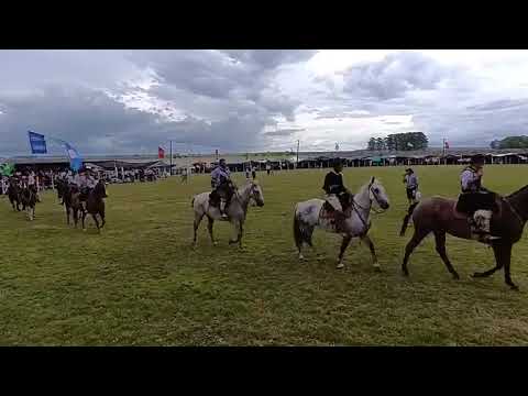 Último día de criollas, p. 2 de 2 - Festival del Rotary - Represa India Muerta - Lascano 15/02/2026