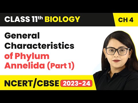 General Characteristics of Phylum Annelida (Part 1) -...