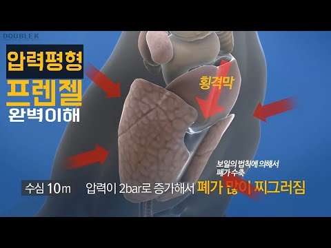 [더블케이] 이퀄라이징-압력평형 프렌젤편 (feat.훈련법과 프렌젤의 한계수심)