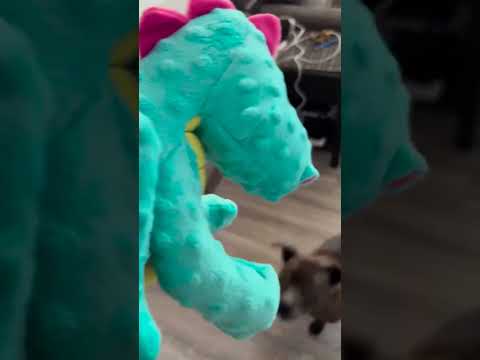 Special Friday surprise for my little best friend