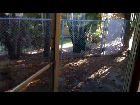 ChumbleyT2 - Video 2 of 2